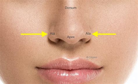 Botox Nose Slimming PHX | Botox Nose Job Phoenix