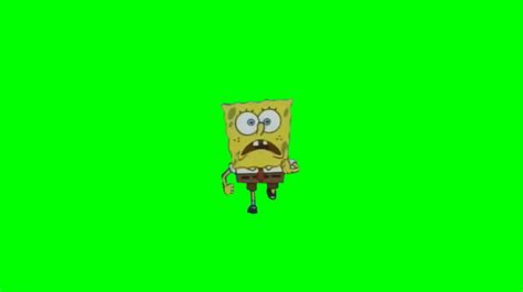 AHHHHH, how do i get out of this green screen. on Make a GIF | Greenscreen, Free green screen ...