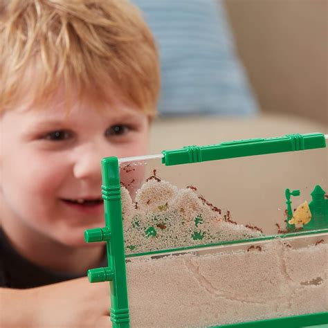 From Ants to Architects: How an Ant Farm Kit Sparks Creativity in Kids