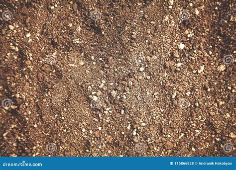 Soil Texture Background. Gardening and Planting Concept Stock Photo ...