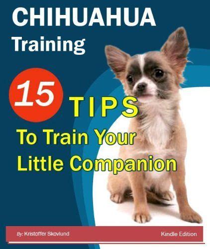 Chihuahua Training: 15 Tips to Train Your Little Companion by ...