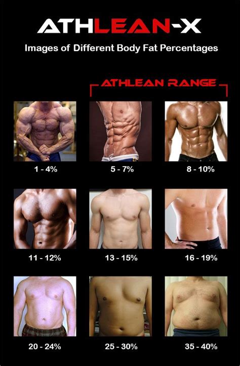 Body Fat Percentage: How to Quickly Identify Your Body Fat Level | ATHLEAN-X