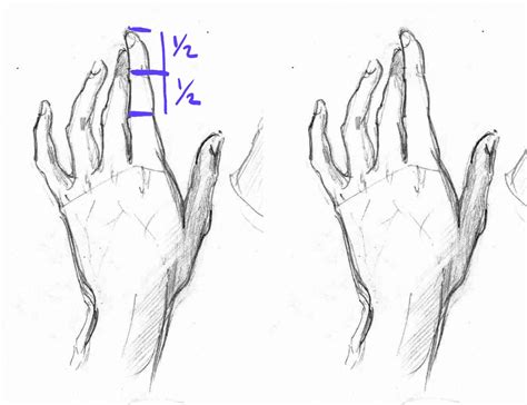 How to Draw Anime Hands, a Step-by-Step Tutorial – Two Methods – GVAAT ...