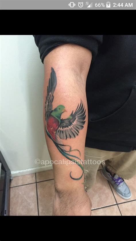 Guatemalan bird | Quetzal tattoo, Tattoos for guys, Cool tattoos