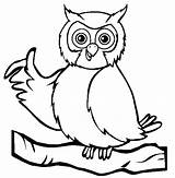 Wise Owl coloring  Animals Town Animals color Sheet Printable sketch template
