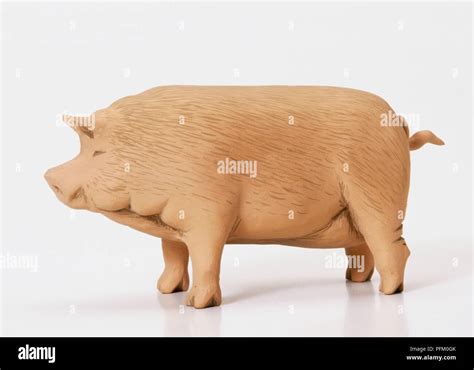 Model of pig, side view Stock Photo - Alamy