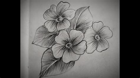 Flowers & Trees Study, Flowers(Drawing with Pencil Shading) - YouTube