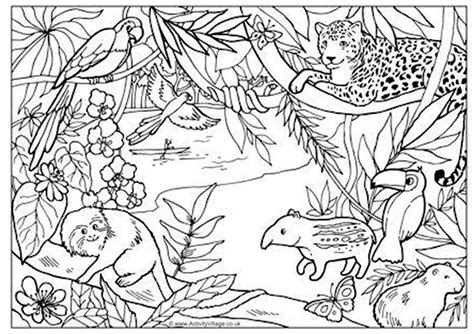 ANIMALES DE LA SELVA BRASILEÑA | Jungle coloring pages, Animal coloring ...