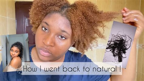 THE TRUTH ABOUT MY JHERI CURL‼️|| updated washday tutorial! - YouTube