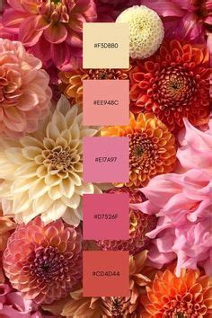 MagnoliaandMill - Etsy in 2024 | Color palette pink, Color palette design, Paint color inspiration