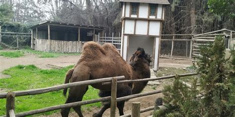 Buin Zoo: UPDATED 2020 All You Need to Know Before You Go (with PHOTOS)