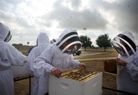 Bee-keeping at the Travis County Jail, 08.24.14 | Travis county, Bee keeping, County jail