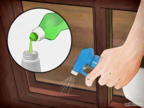 4 Ways to Get Rid of Stink Bugs Naturally - wikiHow | Stink bugs, Stink bug repellent, Stink bug ...