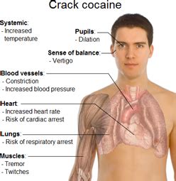 Crack Cocaine Side Effects - Crack Rehabilitation Centers Crack ...