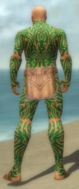 Monk Flowing armor - GuildWiki, the unofficial Guild Wars wiki