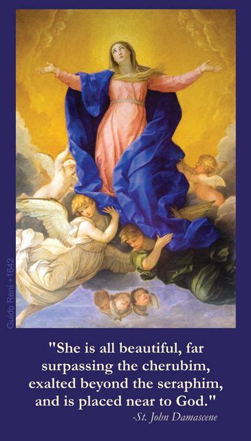 Our Lady of the Assumption Prayer Card | Assumption of mary, Blessed ...