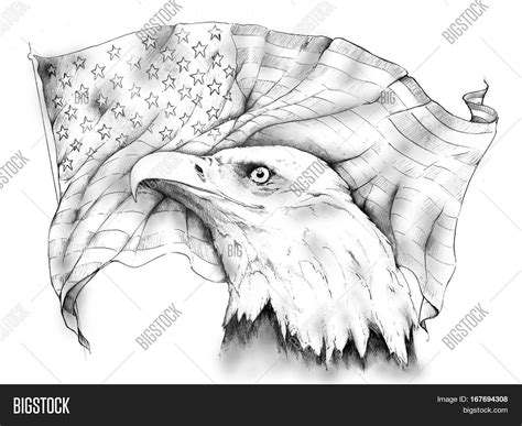 Bald Eagle Flowing Image & Photo (Free Trial) | Bigstock