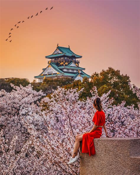 Osaka Cherry Blossom Japan Tourist Spots