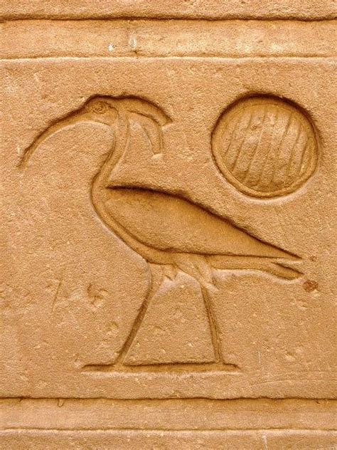 Ibis hieroglyph - Egypt | Simboli egiziani, Antico egitto, Egitto