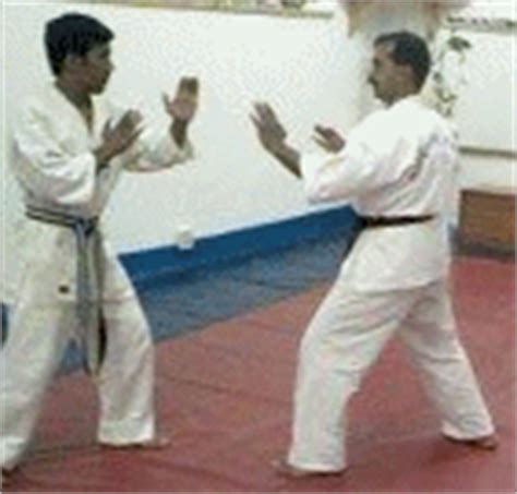 WKF Rules Explained : Karate in South Africa - focusing on karate styles in South Africa like ...