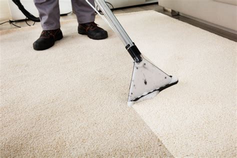 How to Clean Jute Rugs Step By Step Guide | Global Clean