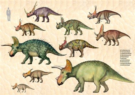 Ceratopsia 1 by cisiopurple on DeviantArt | Dinosaur posters, Dinosaur ...