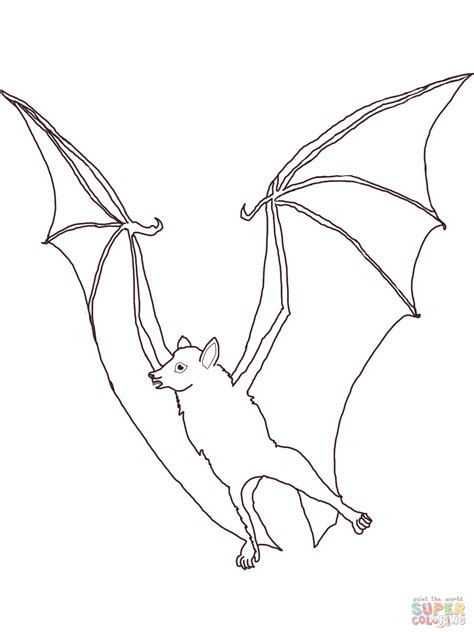 Fruit Bat Coloring Page at GetColorings.com | Free printable colorings ...