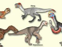 220 Theropod with Feathers ideas | prehistoric animals, prehistoric creatures, paleo art