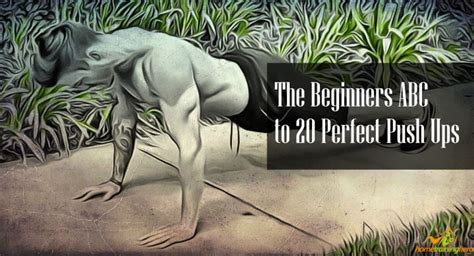 Push up Workout for Beginners: The Definite Guide (2023)