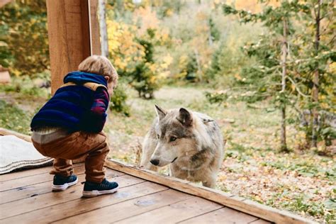 Parc Omega, Montebello (aktualne ceny na rok 2025)