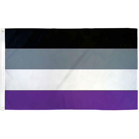 3x5' Asexual Pride Flag | Pride Basics