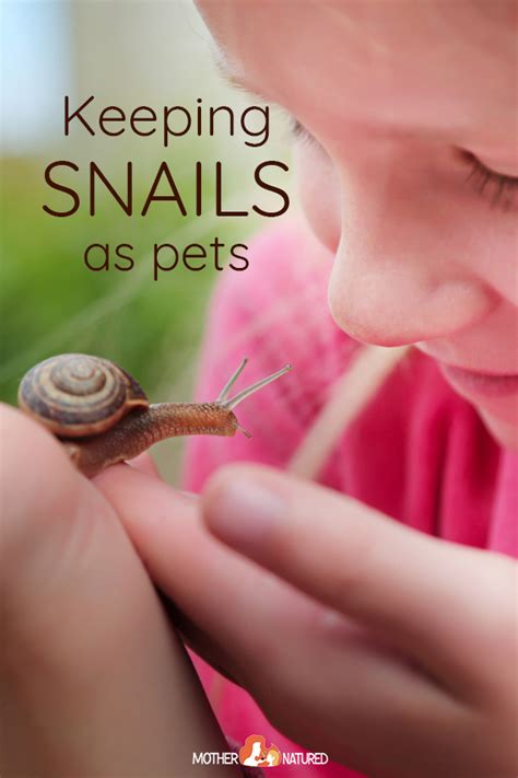 Keeping Pet Snails: Everything you need to know about their care! What ...