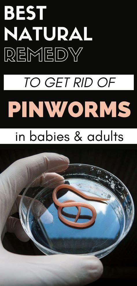 Best Natural Remedy to Get Rid Of Pinworms In Babies And Adults ...