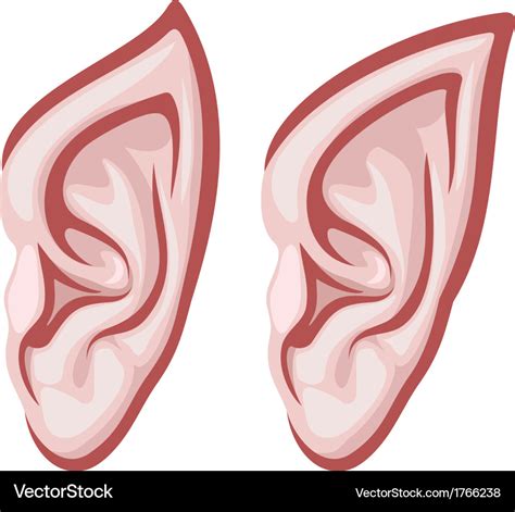 Elf ears Royalty Free Vector Image - VectorStock