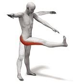 Sport-Specific Dynamic Stretching - Warm Up For Cardiovascular Exercise