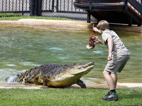 Robert Irwin celebrates birthday at Australia Zoo | The Advertiser