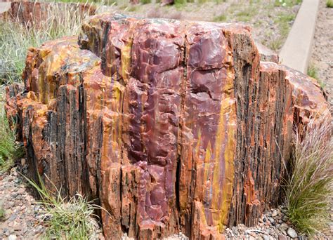Free Images : rock, wood, formation, arch, terrain, material, arizona, geology, boulder ...