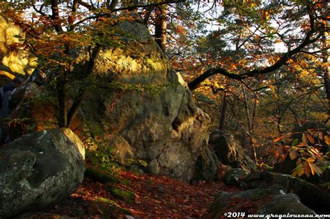 Automne encore ~ FontaineBleau Passion