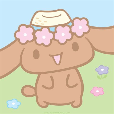 Cinnamoroll's Friend Mocha in a Straw Hat | Hello kitty iphone wallpaper, Sanrio hello kitty ...