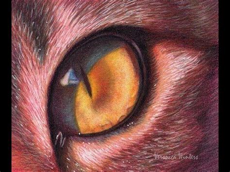 How to draw a cat's eye with colored pencils and markers on colored ...