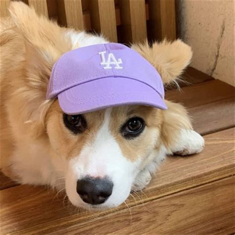 Dog Baseball Cap Dog Hat Dog Baseball Cap Trucker Cap for | Etsy