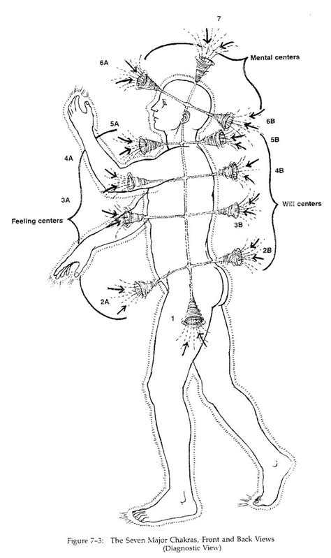 https://www.scene.org/~esa/search/human_frequencies/ | Chakra, Chakra meditation, Chakra system