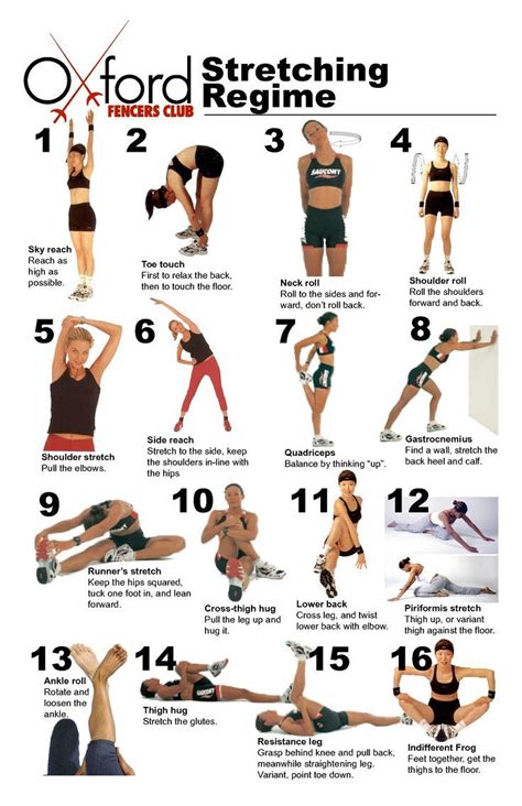 16 Weight Training Stretching Exercise. Exercise, and other factors ...