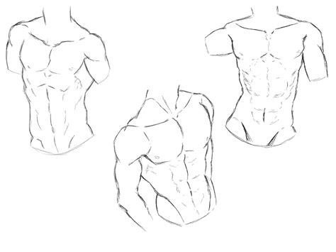 Muscle Anime Reference - Aruku Wallpaper