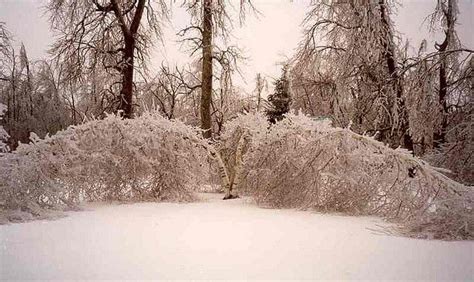 These 20 Pictures Of The 1998 Montreal Ice Storm Are Incredible. So ...