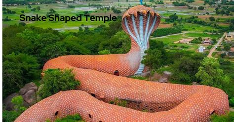 Snake Shaped Temple: An Enchanting Architectural Wonder