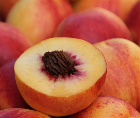 The Top 8 Peach Tree Varieties To Grow In Michigan - Bright Lane Gardens