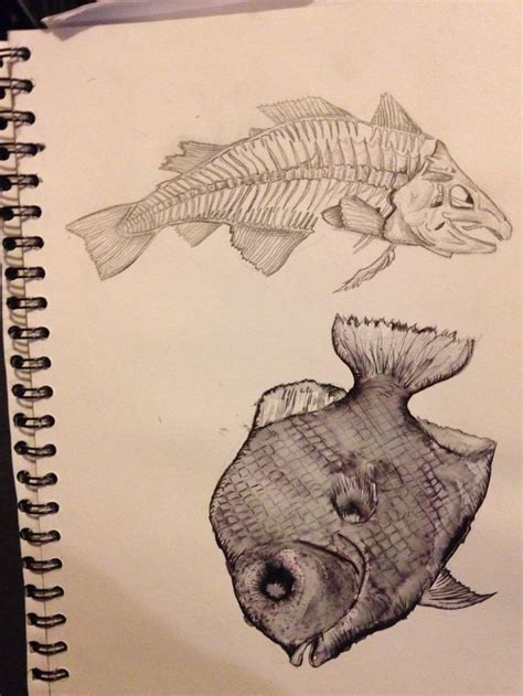 Dead Fish art | Fish art, Art, Humanoid sketch