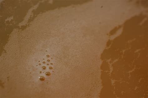 Free Images : sand, texture, floor, foam, material, beer, close up ...