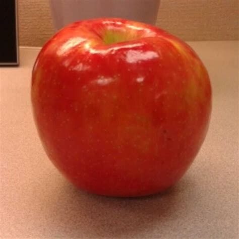 Large Honeycrisp Apple Nutrition Facts | Besto Blog